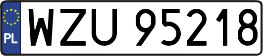 WZU95218