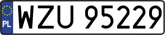 WZU95229