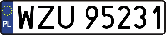 WZU95231