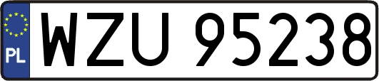WZU95238