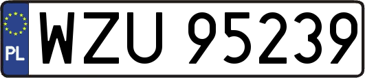 WZU95239