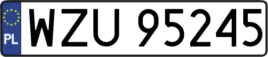 WZU95245