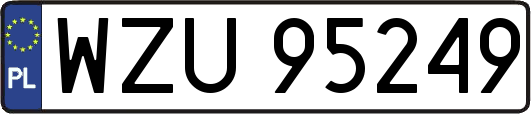 WZU95249