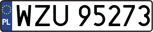 WZU95273