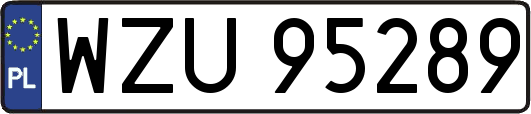 WZU95289