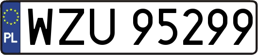 WZU95299