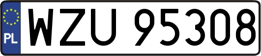 WZU95308
