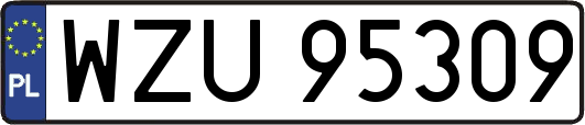 WZU95309