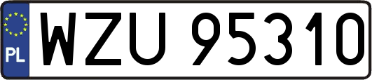 WZU95310