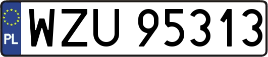 WZU95313