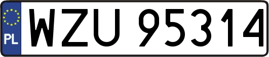 WZU95314