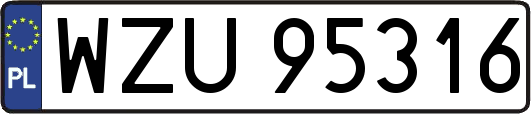 WZU95316