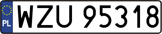 WZU95318