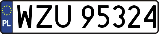 WZU95324
