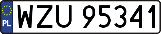 WZU95341