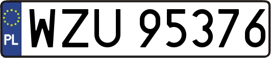 WZU95376