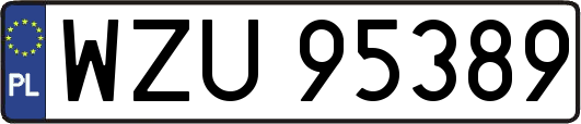WZU95389