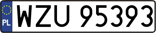 WZU95393