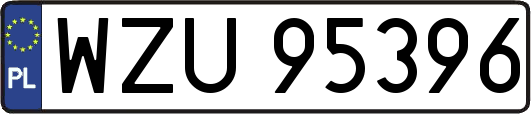 WZU95396