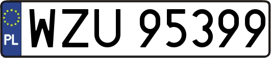 WZU95399