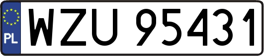 WZU95431