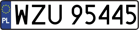 WZU95445