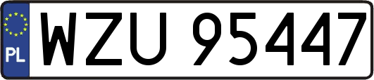 WZU95447