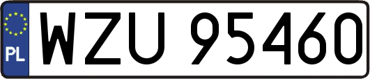 WZU95460