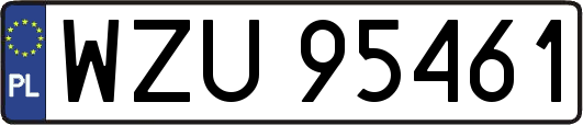 WZU95461