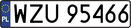 WZU95466