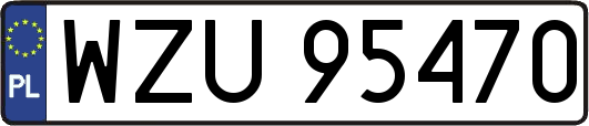 WZU95470