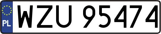 WZU95474