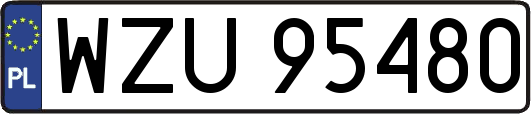 WZU95480