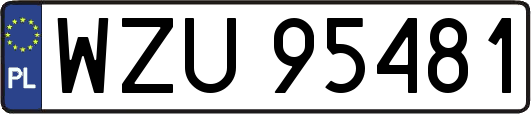 WZU95481