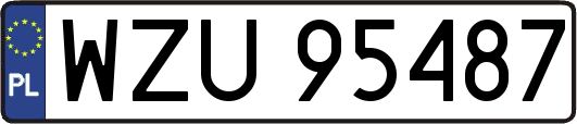 WZU95487