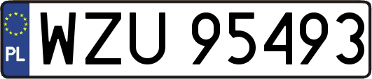 WZU95493