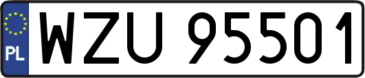 WZU95501