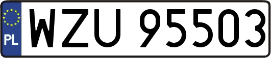WZU95503