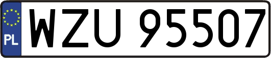 WZU95507