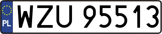 WZU95513