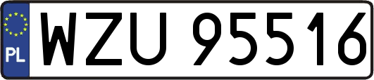 WZU95516