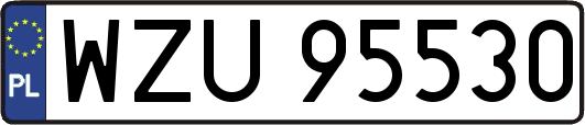 WZU95530