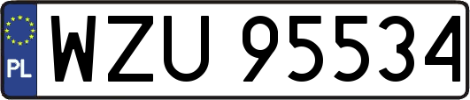 WZU95534