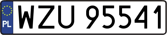 WZU95541