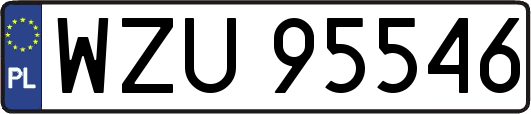 WZU95546