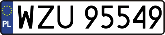 WZU95549