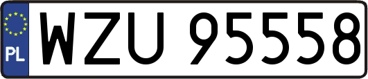 WZU95558