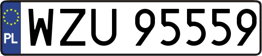 WZU95559