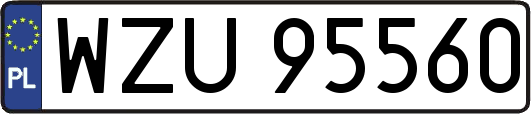 WZU95560