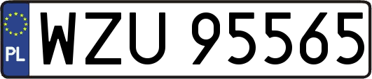 WZU95565